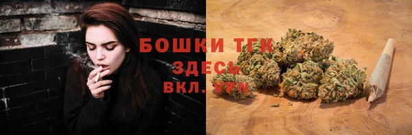 ALPHA PVP Куйбышев