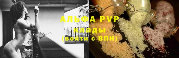 спайс Беломорск