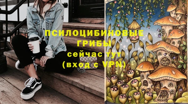 ALPHA PVP Куйбышев