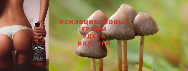 ALPHA PVP Куйбышев