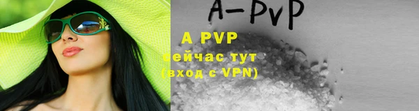 ГАЛЛЮЦИНОГЕННЫЕ ГРИБЫ Белокуриха