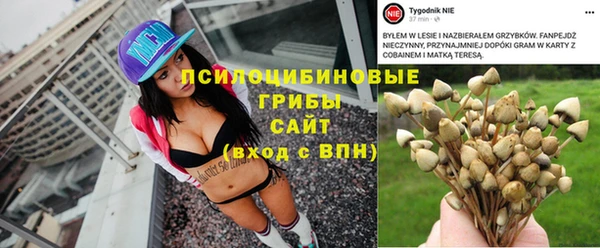 ALPHA PVP Куйбышев