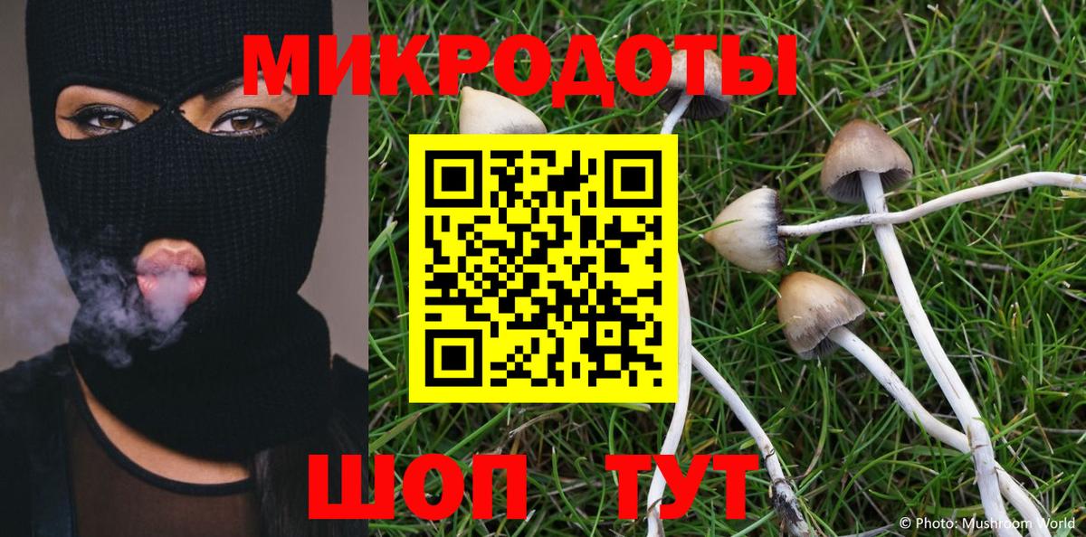 Псилоцибиновые грибы Psilocybine cubensis Альметьевск