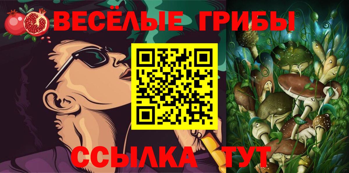 Псилоцибиновые грибы Psilocybine cubensis Альметьевск