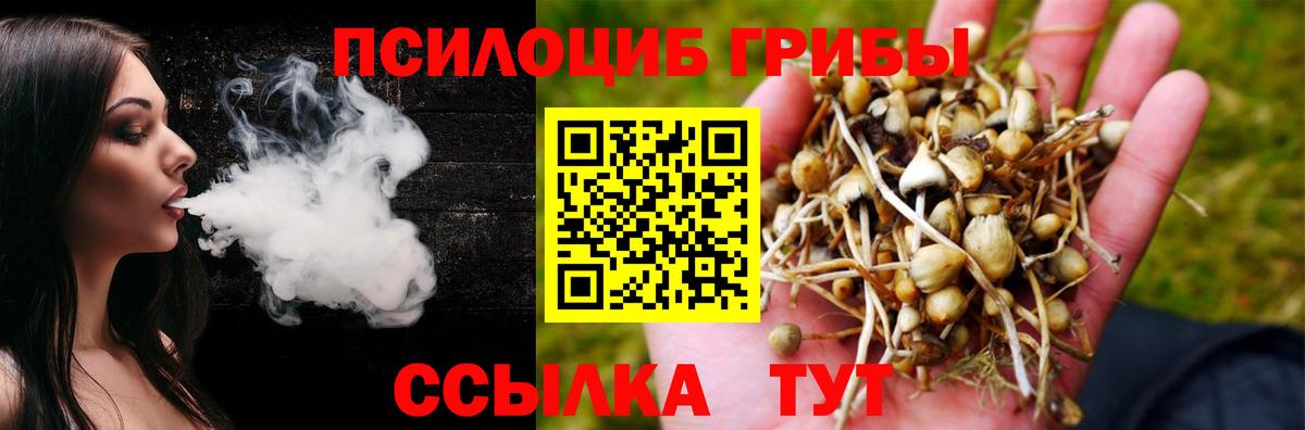 Альметьевск  Галлюциногенные грибы Magic Shrooms  Вход с VPN 